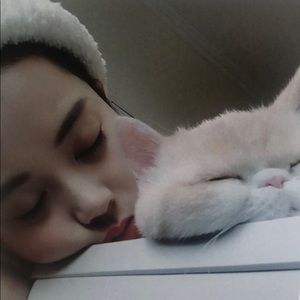 Meet your Posher, Vincent